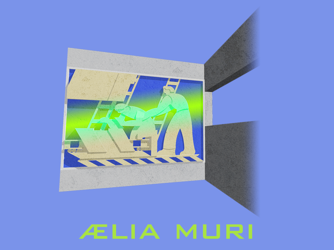 ælia muri